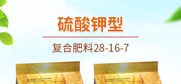 ������͏�(f��)�Ϸ���25-14-6-���_01