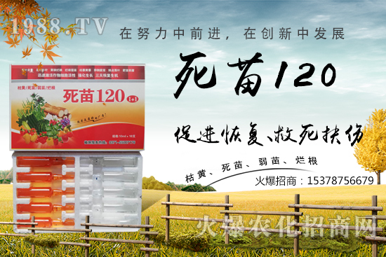  �߲˷Nֲ���L���������������砀�����W(xu��)���@Щ�������߲����砀�������£�