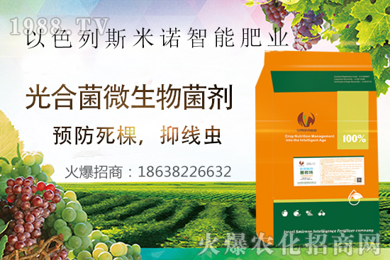 ���Y(ji��)���x(ch��ng)Σ������̫�y��������΢�ء���(l��i)��æ�����ƾ��x(ch��ng)���x(ch��ng)�ѣ��Ƀ���