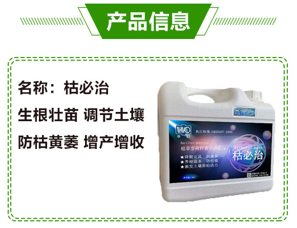 �ݱ���-���ֻ���_03