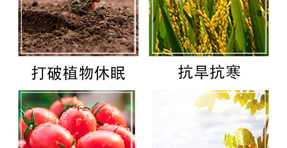 ��(x��)��������-���S���@_05