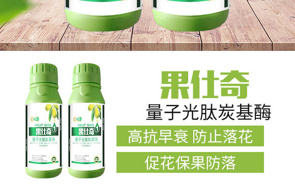 ���ӹ���̿��ø-������-���S���@_03