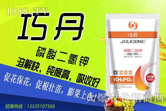 茄子需肥特性有哪些,夏季茄子高產(chǎn)管理技巧!