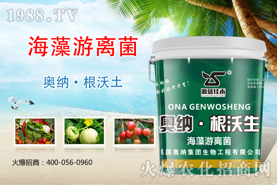 ���ӱ��W�{����Ʒ���u��������������o����ע��I�B(y��ng)�·�����