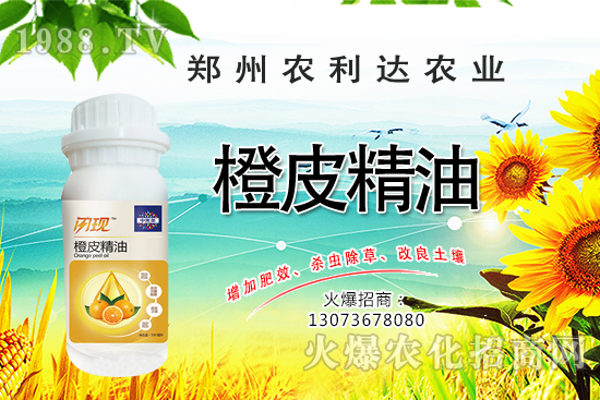 ��Ƥ�������˽��������Ƥ������ʲô��������ô�x��Ƥ������