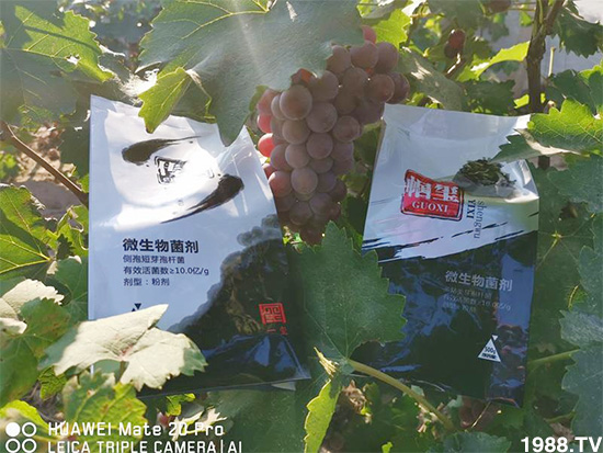 �îa(ch��n)Ʒ����������һ�t���΢������������t���͑��挍(sh��)������