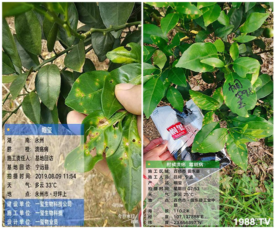 �îa(ch��n)Ʒ�����ã���һ�t���΢������������t���͑��挍(sh��)������