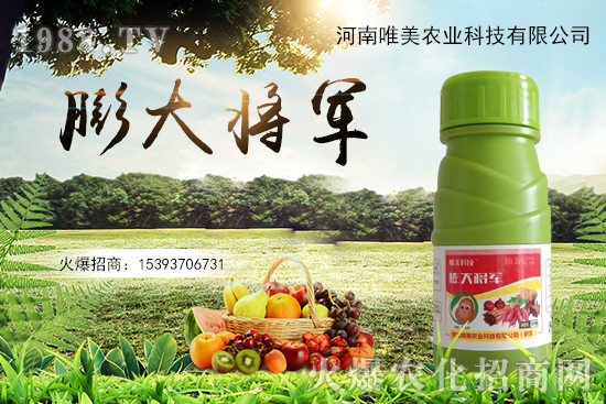 ���������������С��ô��Q����������ʵ��x������Щ��