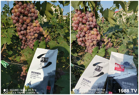 �îa(ch��n)Ʒ����������һ�t���΢������������t���͑��挍(sh��)������