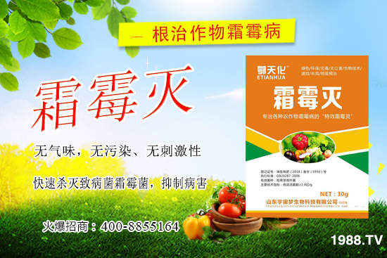 �S��˪ù����(y��n)����ô�k�����������S��˪ù����