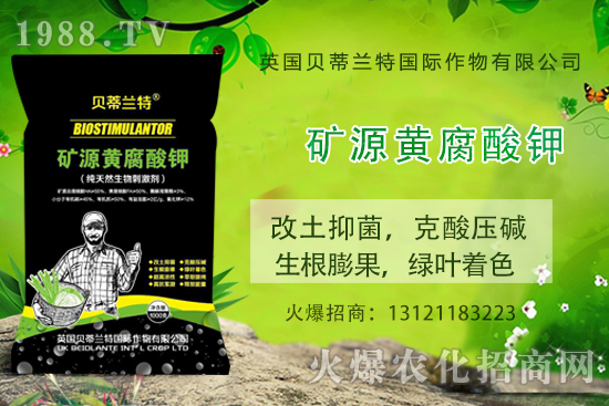 ���ÿ���ô�B(y��ng)�����ÿ��B(y��ng)ֳ������ע�������