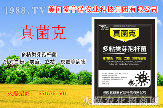 ���������Z��ʲô��(y��u)�������������Z�a(ch��n)Ʒ����Щ��