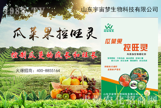 夏季高溫瓜菜果徒長,怎么解決?瓜菜果控旺產(chǎn)品怎么選?