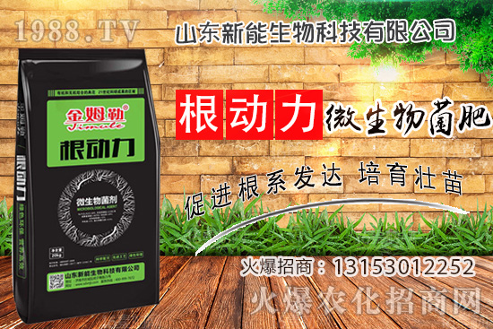 ����������ʲô�ʣ�ʹ�á�΢������ʡ���ʲô��(y��u)����