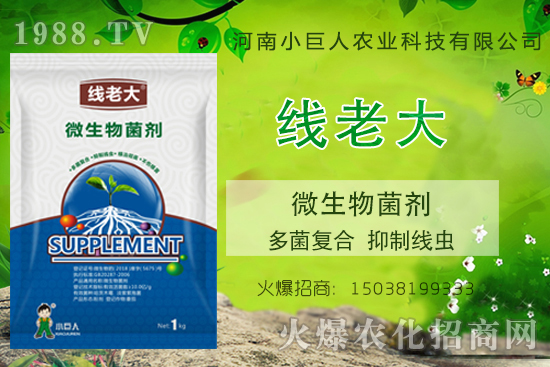 ���Y(ji��)���xզ���������Y(ji��)���x����-�����ϴ󡱶���ͺ������ƾ��x��