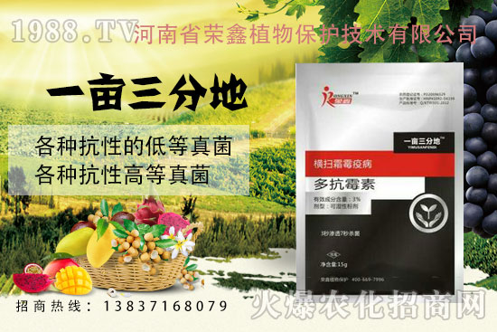 �׷����C����˪ù�������y�򣿷���ˎ������Щ�������aƷ�R����