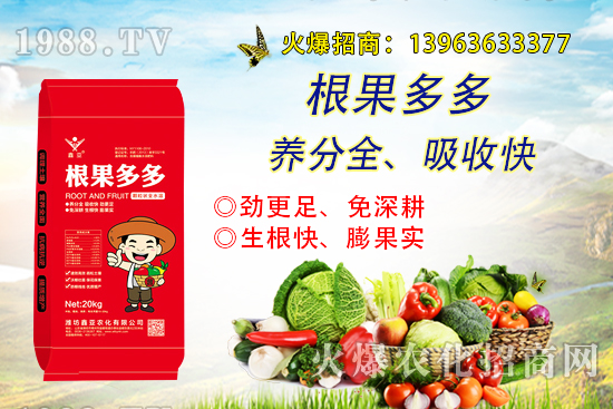 �����������������ô�k����������ࡱ����̽����������������B��