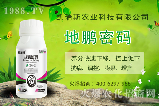 �P��˹�r(n��ng)�I(y��)��ô�����P��˹�r(n��ng)�I(y��)����a(ch��n)Ʒ����Щ��