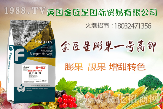 英國(guó)金匠星怎么樣?英國(guó)金匠星主營(yíng)哪些產(chǎn)品?