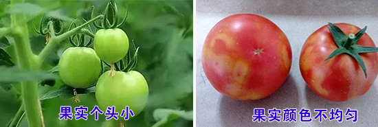 ����(sh��)���}