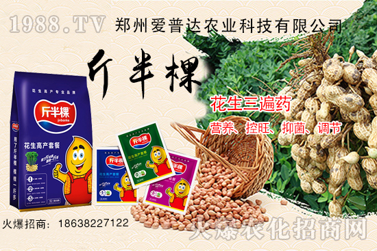 ��������ˎʲô�r(sh��)��ʹ������������ˎ����Щ���ã�