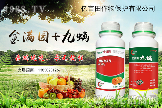 ����x�y�|������M�@+�������p�������������Ț��约�x���з�Ч��