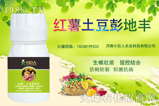 河南小巨人怎么樣?公司有什么優(yōu)勢?主推產(chǎn)品有哪些?