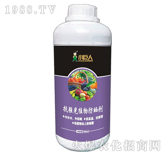 河南小巨人怎么樣?公司有什么優(yōu)勢?主推產(chǎn)品有哪些?