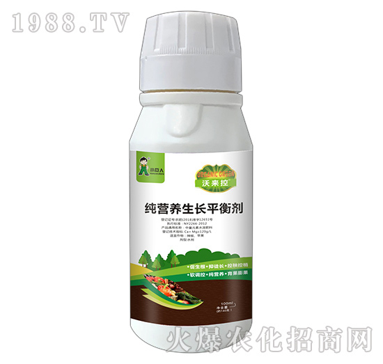 河南小巨人怎么樣?公司有什么優(yōu)勢?主推產(chǎn)品有哪些?