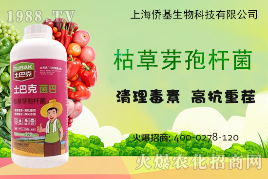 �Ϻ��S�������Ϳˡ�-��ע�����������غ������ޏ�(f��)15����