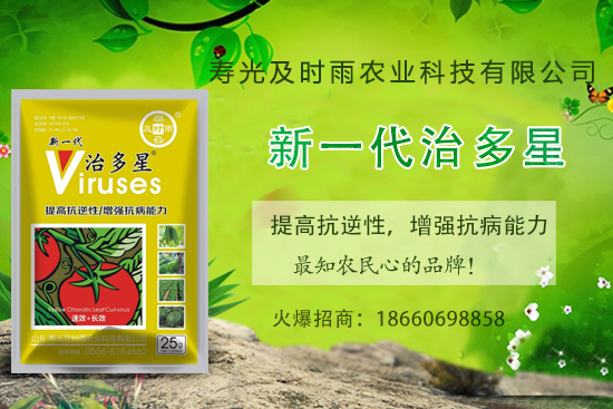 ���Ѳ�������֪���׷N�����Ӻ������η��Ѳ�������(��(n��i)�����η���) 