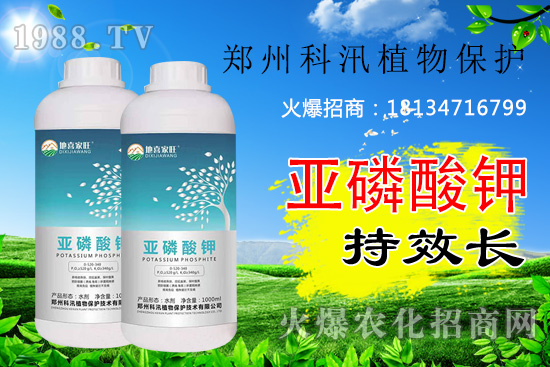 ������⛹�Ч�������C������Щ������������õĺ������