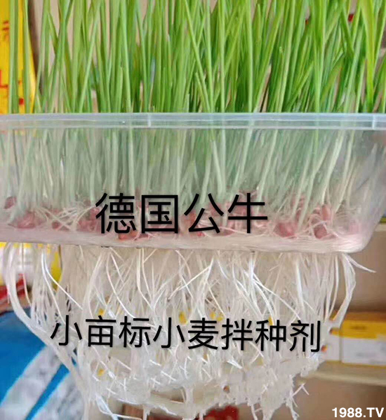 С����N�����a(ch��n)��С����N������x����С����N��Ʒ���x����