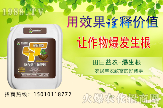 獼猴桃種植前景如何,獼猴桃種植技術(shù)要點(diǎn)!