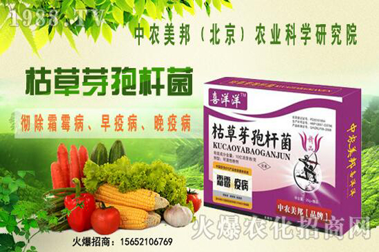 �ݲ�ѿ�ߗU���θ������ᣬ������Щ�������������Ό�(du��)������Щ��