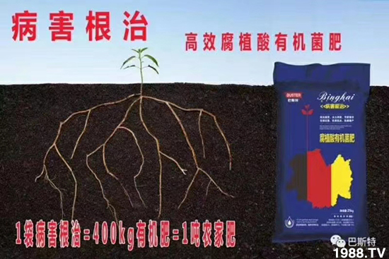     ���׌�Nֲ׃�ø��p����һ��(g��)�ײ���ȫ���䷽����˹�ش󽪠I(y��ng)�B(y��ng)�ײͷ�����