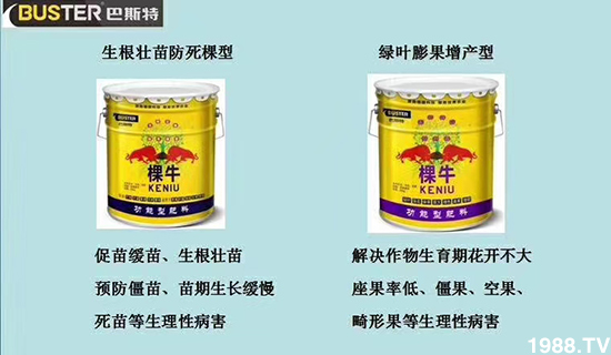     ���׌�Nֲ׃�ø��p����һ��(g��)�ײͣ�ȫ���䷽����˹�ش󽪠I(y��ng)�B(y��ng)�ײͷ�����