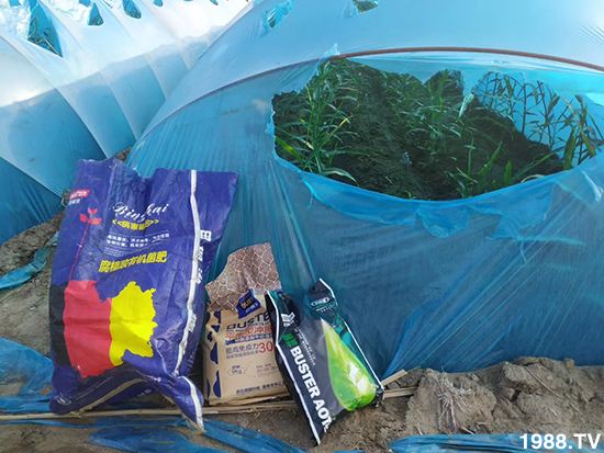     ���׌�Nֲ׃�ø��p�ɣ�һ��(g��)�ײ���ȫ���䷽����˹�ش󽪠I(y��ng)�B(y��ng)�ײͷ�����