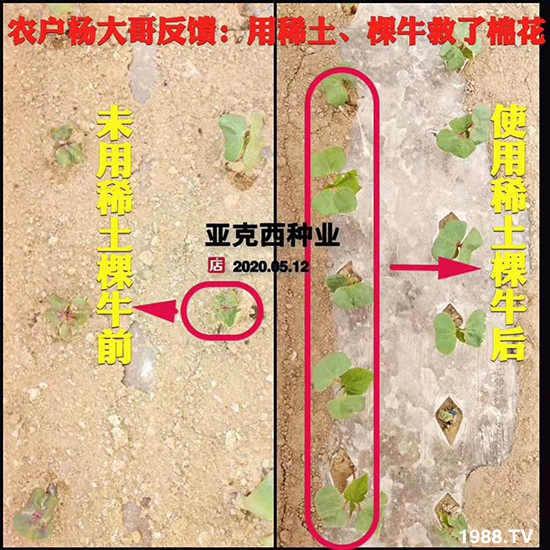     ���׌�Nֲ׃�ø��p����һ��(g��)�ײ���ȫ���䷽����˹�ش󽪠I(y��ng)�B(y��ng)�ײͷ�����