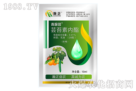 �|̦�؃�(n��i)����ʲô��(y��u)��(sh��)���|̦�؃�(n��i)����(f��)�䷽������Щ��