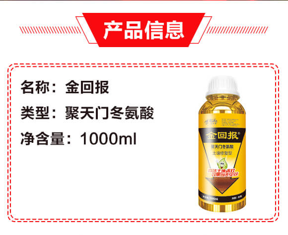 ��������-�����ޏ�(f��)�ͣ�ƿ�b��-��؈�(b��o)�����T������-��؈�(b��o)_02