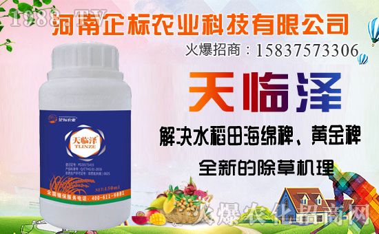 ������������ȷ�������������������݄��Ј�ͻ��20�|��Ԫ