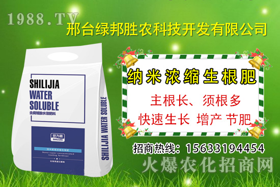 �������þ�����Щԭ�����£�����A(y��)���������ðl(f��)����