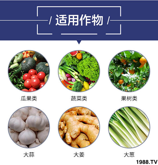 �m������