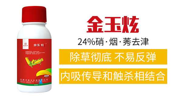 24%��������ݬȥ��-������-�S�՘�(l��)_02