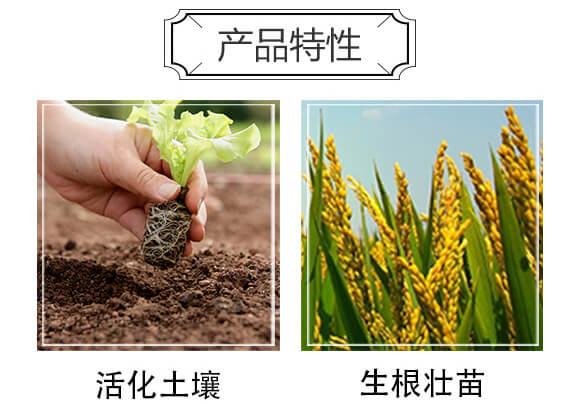 豆粕海藻·有機(jī)肥料-賽寶珠_04