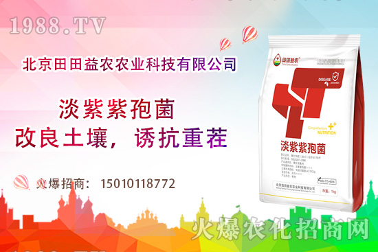 西紅柿需肥特點(diǎn)有哪些,西紅柿夏季如何管理?