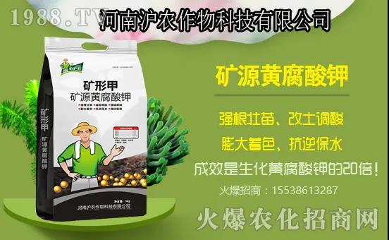 �Ϲ����L���Ďׂ��^�����Ϲ�ʩ��Ҫ�c����ʲô���Ϻ���