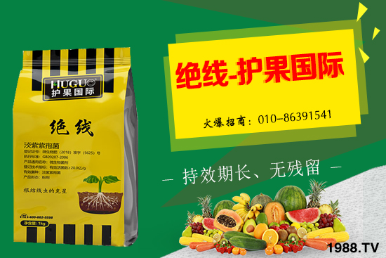 �޻���ʲôҪ�����������Щ��̎���޻�������g�������h��