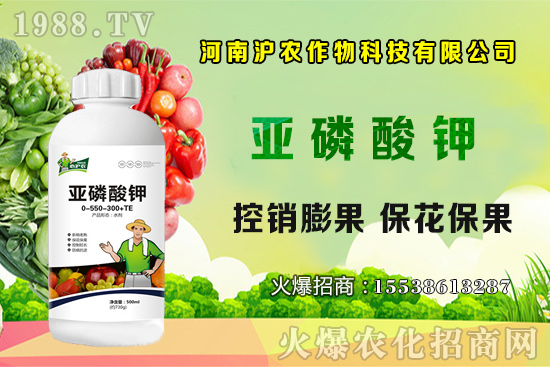 ���[����Ҫ�c(di��n)��֪���������[��Ҋ(ji��n)���x������Щ����η�����